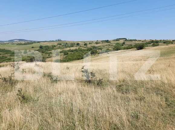 Teren de vânzare Exterior Est - 68905TV | BLITZ Sibiu | Poza2