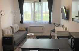 Garsoniera cocheta de 22 mp in zona Autogarii!