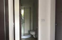 Apartament 3 camere, renovat, in Cisnadie