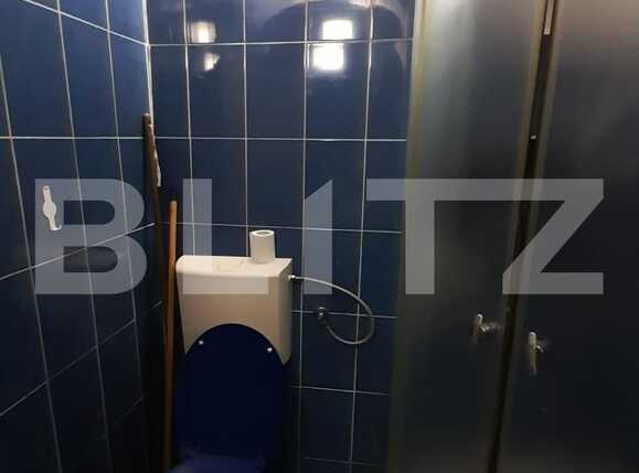 Apartament de închiriat 3 camere Orasul de Jos - 69683AI | BLITZ Sibiu | Poza9