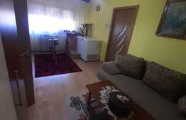 Apartament cu 2 camere, 45 mp in zona Vasile Aron