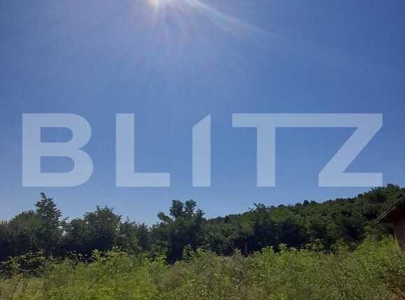 Casa de închiriat 4 camere Sălişte - 69900CI | BLITZ Sibiu | Poza1