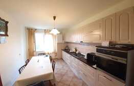 Casa cu 16 camere, 600 mp utili si 1000 mp teren in Selimbar zona Pictor Brana 