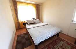 Casa cu 16 camere, 600 mp utili si 1000 mp teren in Selimbar zona Pictor Brana 