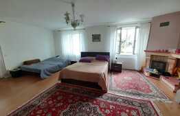 Casa cu 16 camere, 600 mp utili si 1000 mp teren in Selimbar zona Pictor Brana 