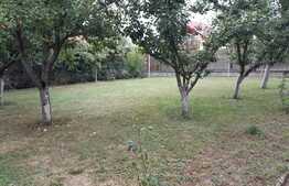 Casa cu 16 camere, 600 mp utili si 1000 mp teren in Selimbar zona Pictor Brana 