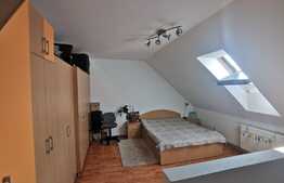 Apartament la mansarda de 2 camere, 55 mp in Vasile Aron