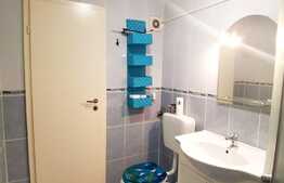 Apartament la mansarda de 2 camere, 55 mp in Vasile Aron