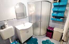 Apartament la mansarda de 2 camere, 55 mp in Vasile Aron