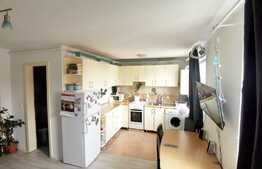 Apartament la mansarda de 2 camere, 55 mp in Vasile Aron