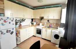 Apartament la mansarda de 2 camere, 55 mp in Vasile Aron