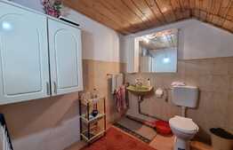 Casă în zonă retrasă și liniștită în Tocile