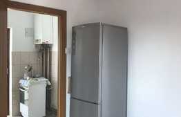 Apartament de 2 camere, recent renovat, in Tiglari