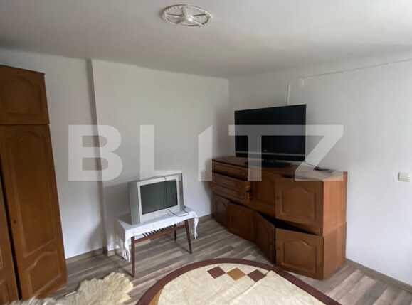 Garsonieră de închiriat Terezian - 70699AI | BLITZ Sibiu | Poza5