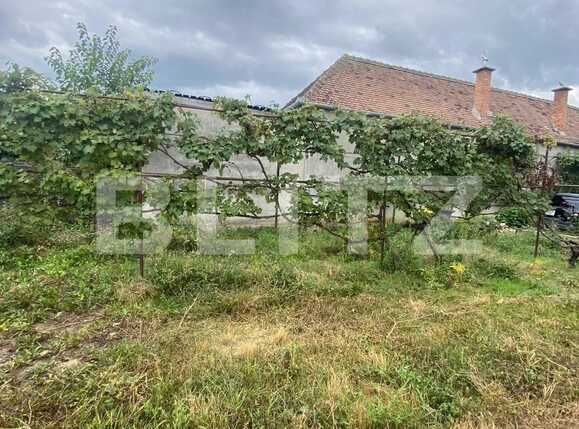 Garsonieră de închiriat Terezian - 70699AI | BLITZ Sibiu | Poza8