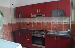 Mansardă recent renovata, zona Vasile Aaron!