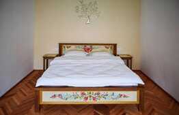 Super oferta pentru investitie, ultracentral