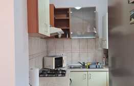 Apartament de vanzare cu 2 camere la mansarda in Vasile Aron