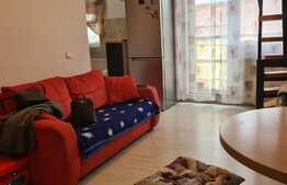Apartament de vanzare cu 2 camere la mansarda in Vasile Aron