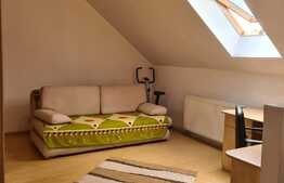 Apartament de vanzare cu 2 camere la mansarda in Vasile Aron