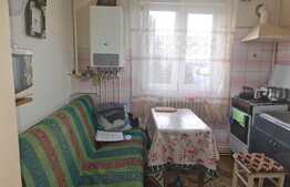 Garsoniera decomandata, 24 mp, Vasile Aaron