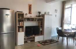 Apartament de 3 camere, mobilat si utilat, parcare, Doamna Stanca