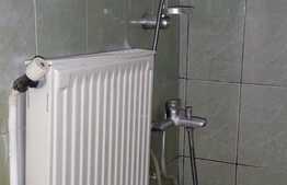 Garsoniera in zona Terezian ( Belisima)