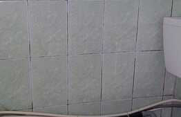 Garsoniera in zona Terezian ( Belisima)