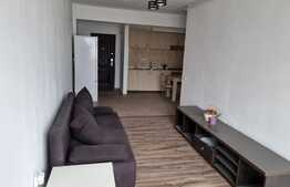 Apartament 2 camere, 40 mp, Doamna Stanca