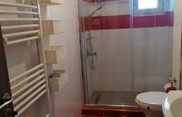 Penthouse 2 camere, 55 mp, 2 terase, Tineretului!