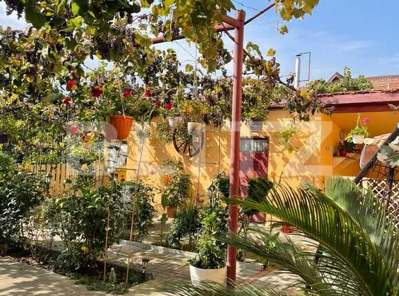 Garsonieră de închiriat Tiglari - 72325AI | BLITZ Sibiu | Poza8