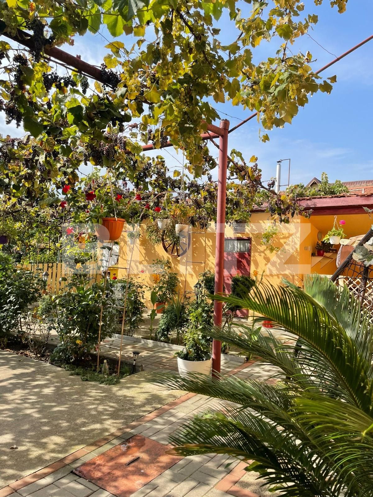 Garsonieră de închiriat Tiglari - 72325AI | BLITZ Sibiu | Poza8