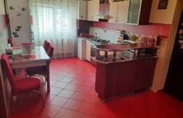 Apartament spatios, de 3 camere in zona Turnisor!