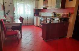 Apartament spatios, de 3 camere in zona Turnisor!