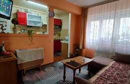 Apartament 2 camere , Terezian