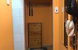 Apartament de 3 camere, mobilat si utilat, Vasile Aron!