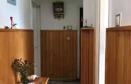 Apartament 2 camere, 55 mp, Hipodrom IV