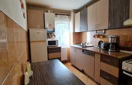 Apartament 3 camere , langa centrala Olandeza