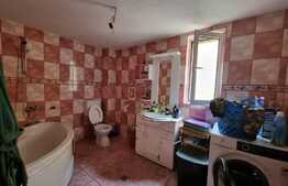 Casă singur în curte lângă parcul Sub Arini cu 500 mp teren!