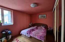 Casă singur în curte lângă parcul Sub Arini cu 500 mp teren!