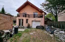 Casă singur în curte lângă parcul Sub Arini cu 500 mp teren!