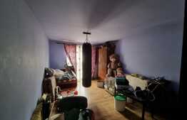 Casă singur în curte lângă parcul Sub Arini cu 500 mp teren!