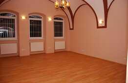 Apartament o camera ultracentral, pe Balcescu