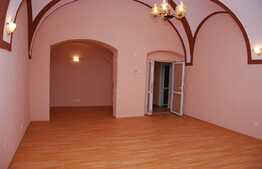 Apartament o camera ultracentral, pe Balcescu