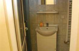 Apartament o camera ultracentral, pe Balcescu