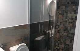 Apartament 2 camere, zona centrala, pretabil regim hotelier!