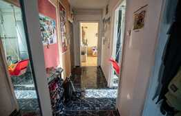 Apartament de 3 camere, zona Vasile Aron