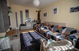 Apartament de 3 camere, zona Vasile Aron