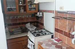 Apartament 2 camere, zona Trei Stejari!