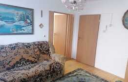 Apartament 2 camere, zona Trei Stejari!